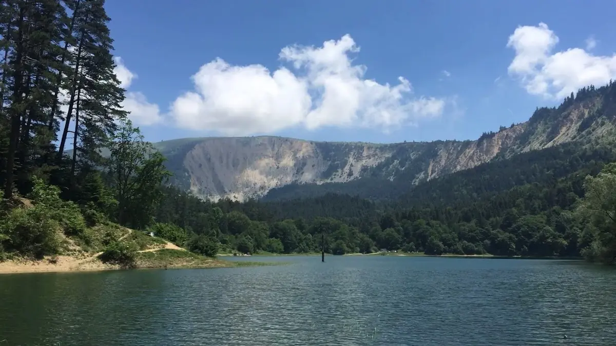 Sülüklü Göl Tabiat Parkı - Fotoğraf 2