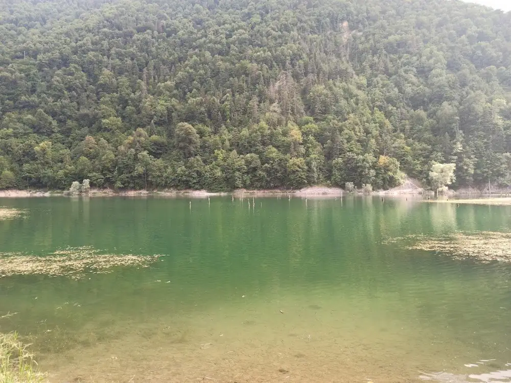 Sülüklü Göl Tabiat Parkı - Fotoğraf 3