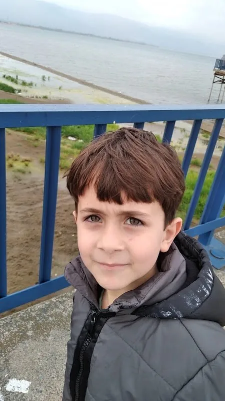 Göllüce Köyü (İznik) - Tirilye Zeytini Durağı - Fotoğraf 2
