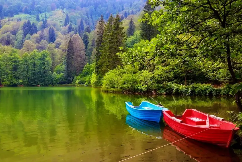 Borçka Karagöl Tabiat Parkı Artvin - Fotoğraf 1