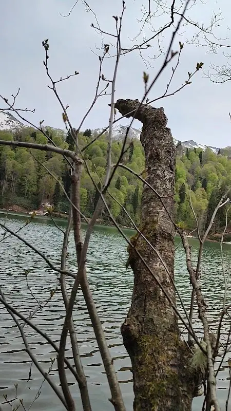 Borçka Karagöl Tabiat Parkı Artvin - Fotoğraf 2