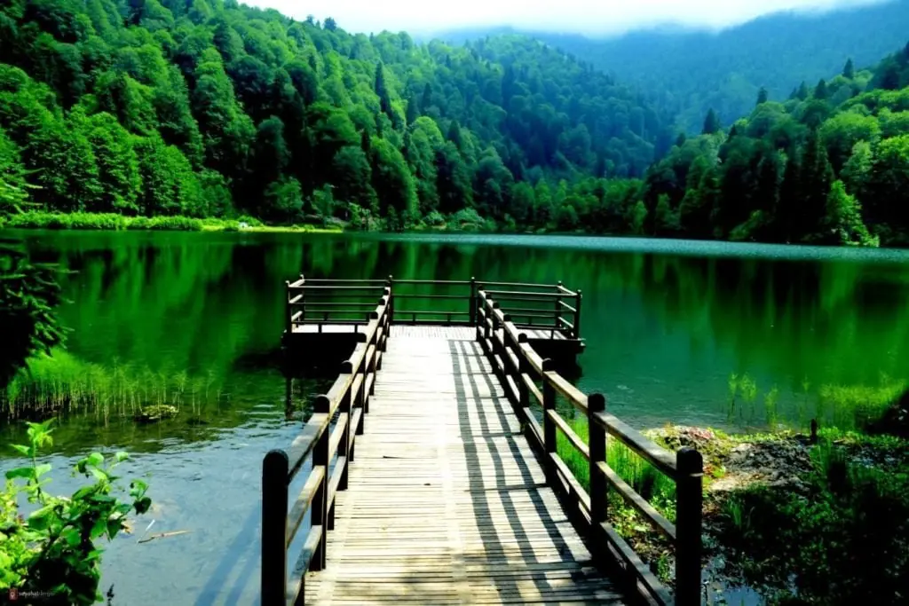 Borçka Karagöl Tabiat Parkı Artvin - Fotoğraf 3