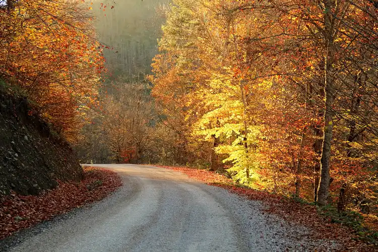 Yedigöller Milli Parkı - Fotoğraf 4