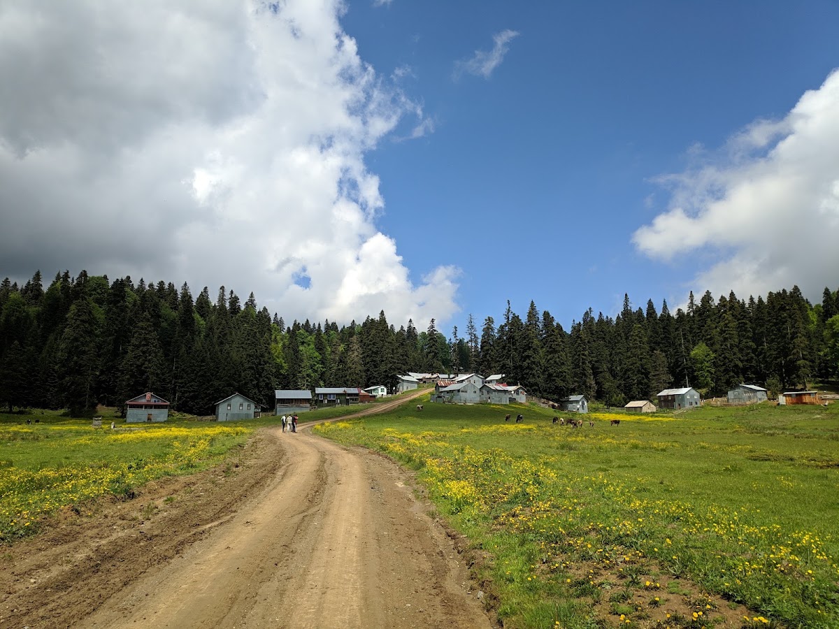 Sinekli Yaylası - Fotoğraf 1