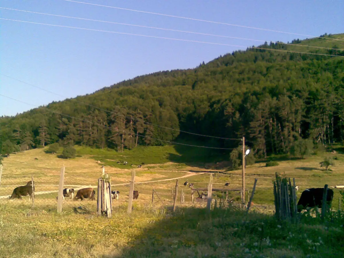 Kocayayla (Düzce)