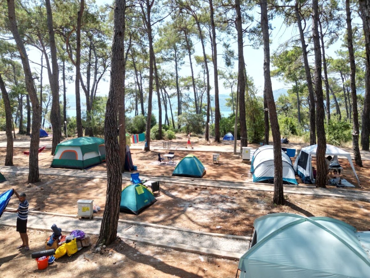 Gökova Akyaka Orman Kampı (Orman Parkı) - Fotoğraf 1