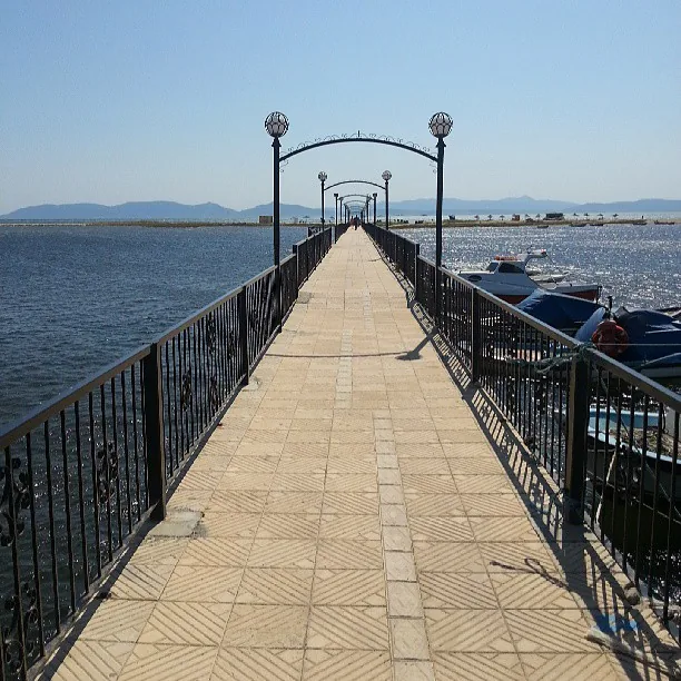 Altınova