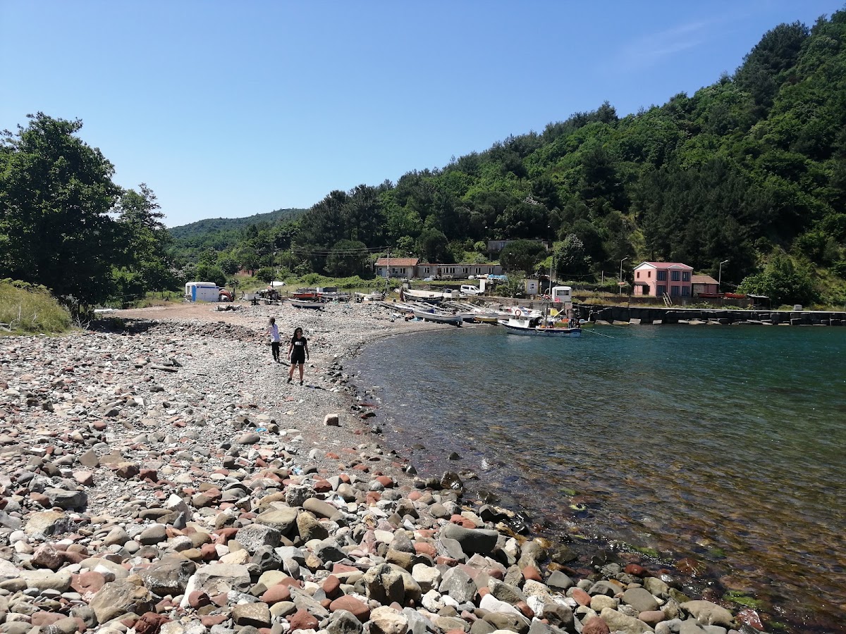 Amasra Gezi ve Kamp Rehberi
