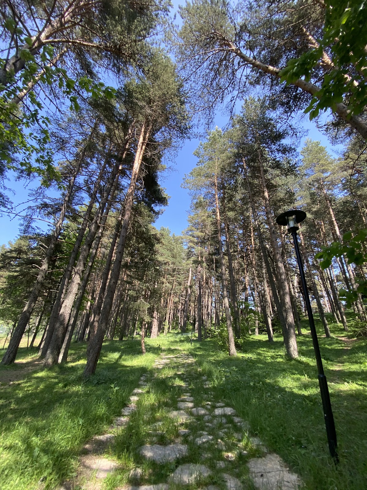 Gerede Esentepe Yaylası Bolu - Fotoğraf 2