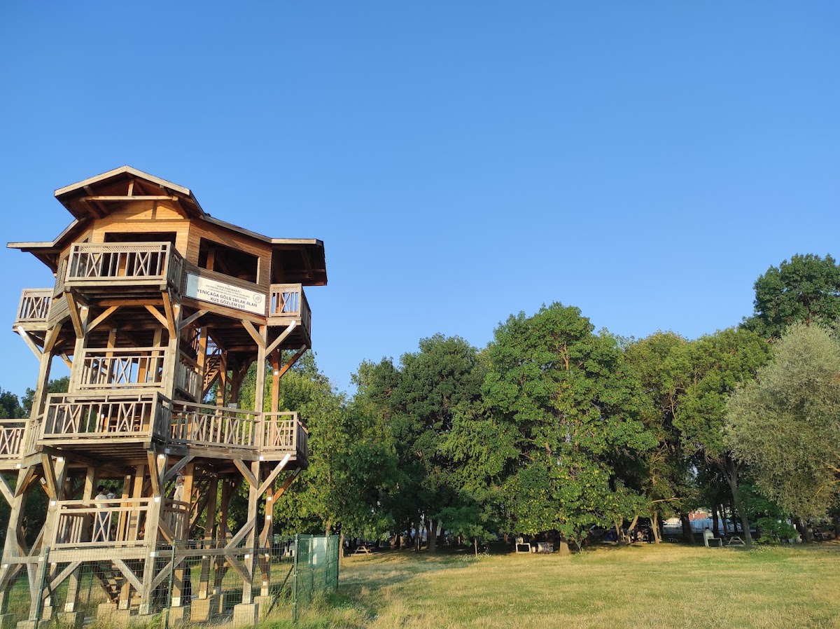 Yeniçağa Kuş Cenneti ve Sulak Alanı Bolu - Fotoğraf 3