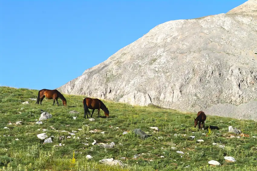 Bolkar Dağları Karagöl Buzul Gölü