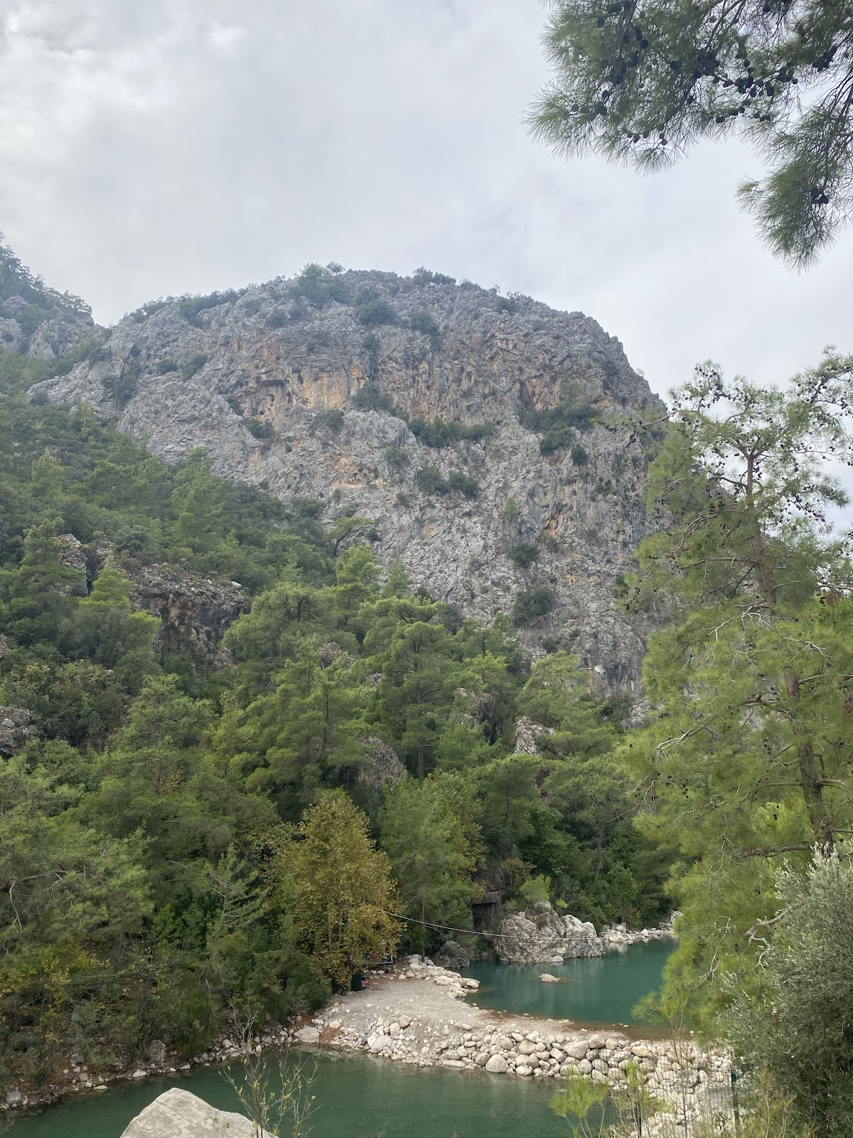 Beydağları Orman İçi Düzlük Kamp Alanı - Fotoğraf 3