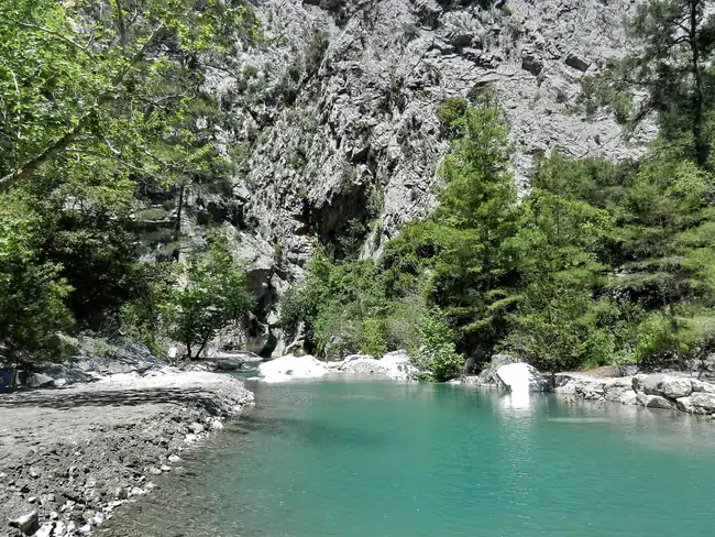 Beydağları Orman İçi Düzlük Kamp Alanı - Fotoğraf 4