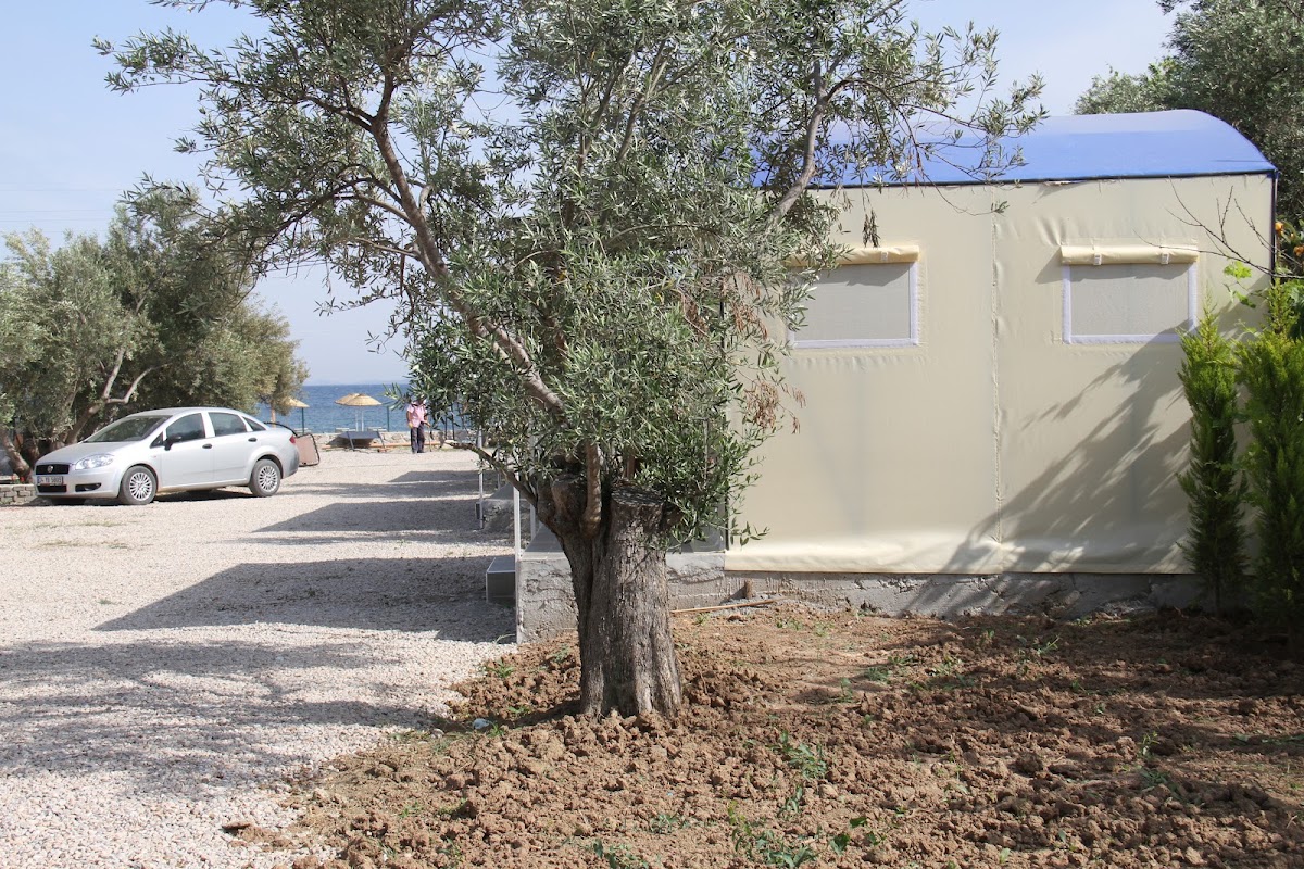 Küçükkuyu - Assos Sahil Kampı - Fotoğraf 2