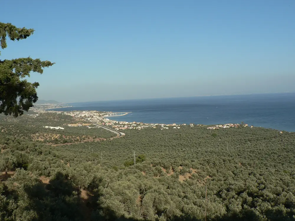 Küçükkuyu - Assos Sahil Kampı - Fotoğraf 3