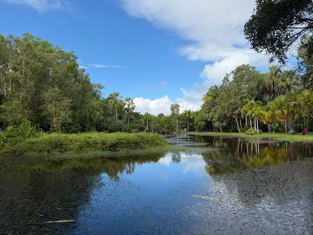 Calm water reflects lush greenery under a bright blue sky in this serene Cairns lagoon.