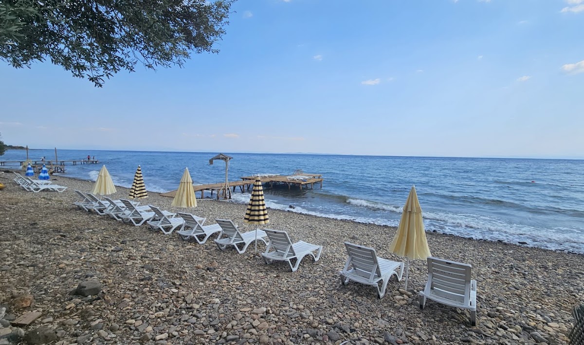 Küçükkuyu Sahil Yolu ve Kadırga Koyu (Çanakkale) - Fotoğraf 2