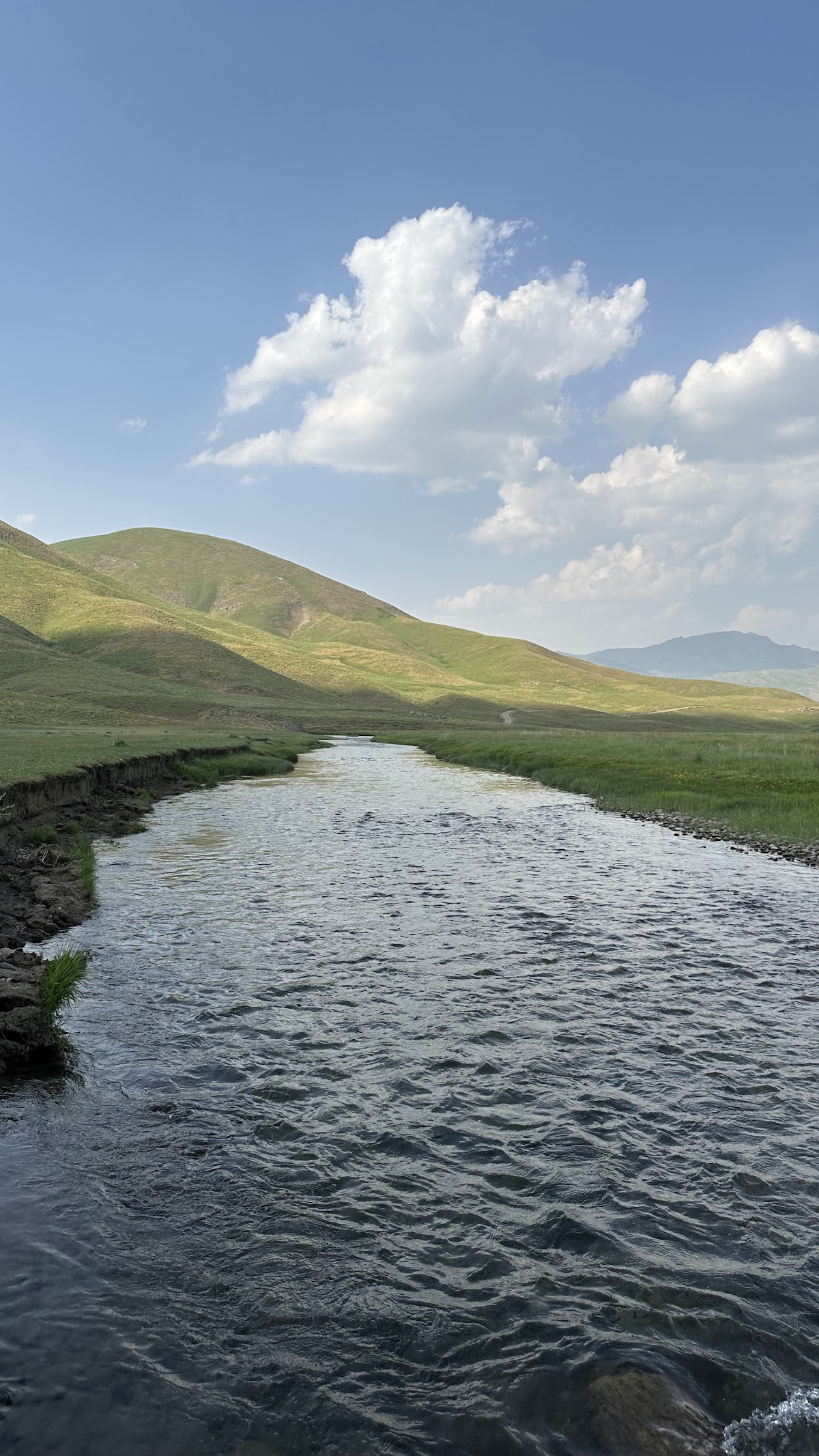 Berçelan Vadisi Korunaklı Kamp Alanı - Fotoğraf 2