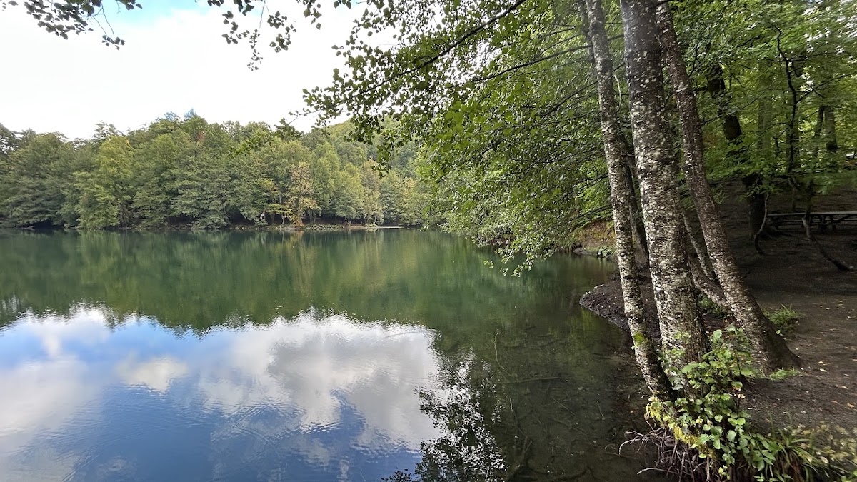 Bolu Yedigöller Milli Parkı (Nazlıgöl ve Çevresi) - Fotoğraf 2