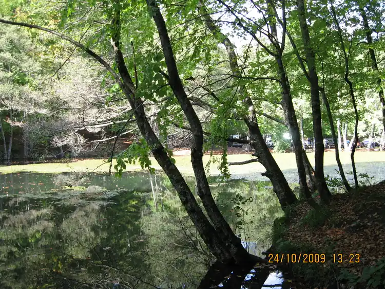 Bolu Yedigöller Milli Parkı (Nazlıgöl ve Çevresi) - Fotoğraf 3