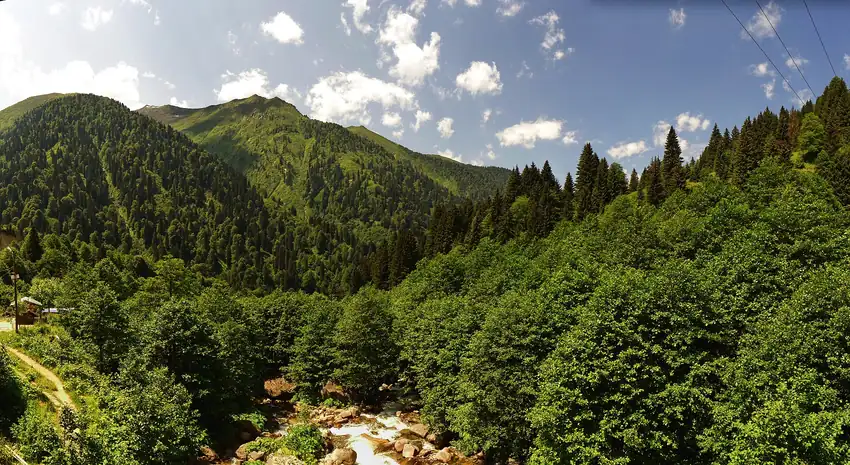 Huser Yaylası Yolu - Fotoğraf 3