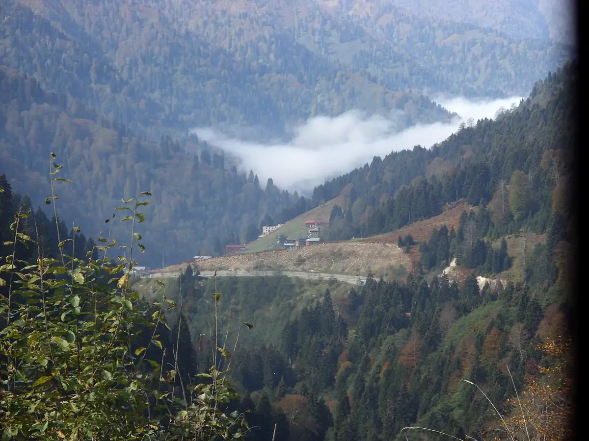 Avusor Yaylası - Fotoğraf 4