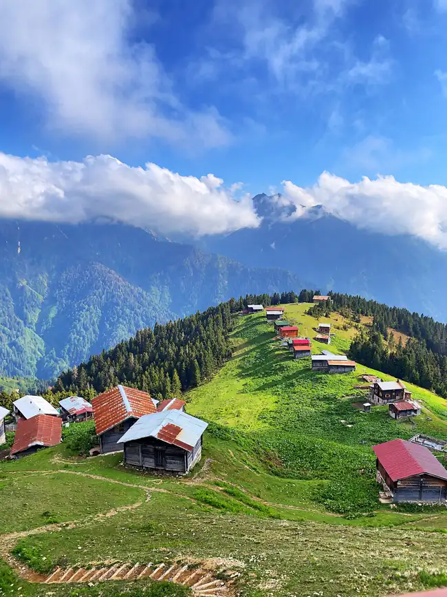 Pokut Yaylası
