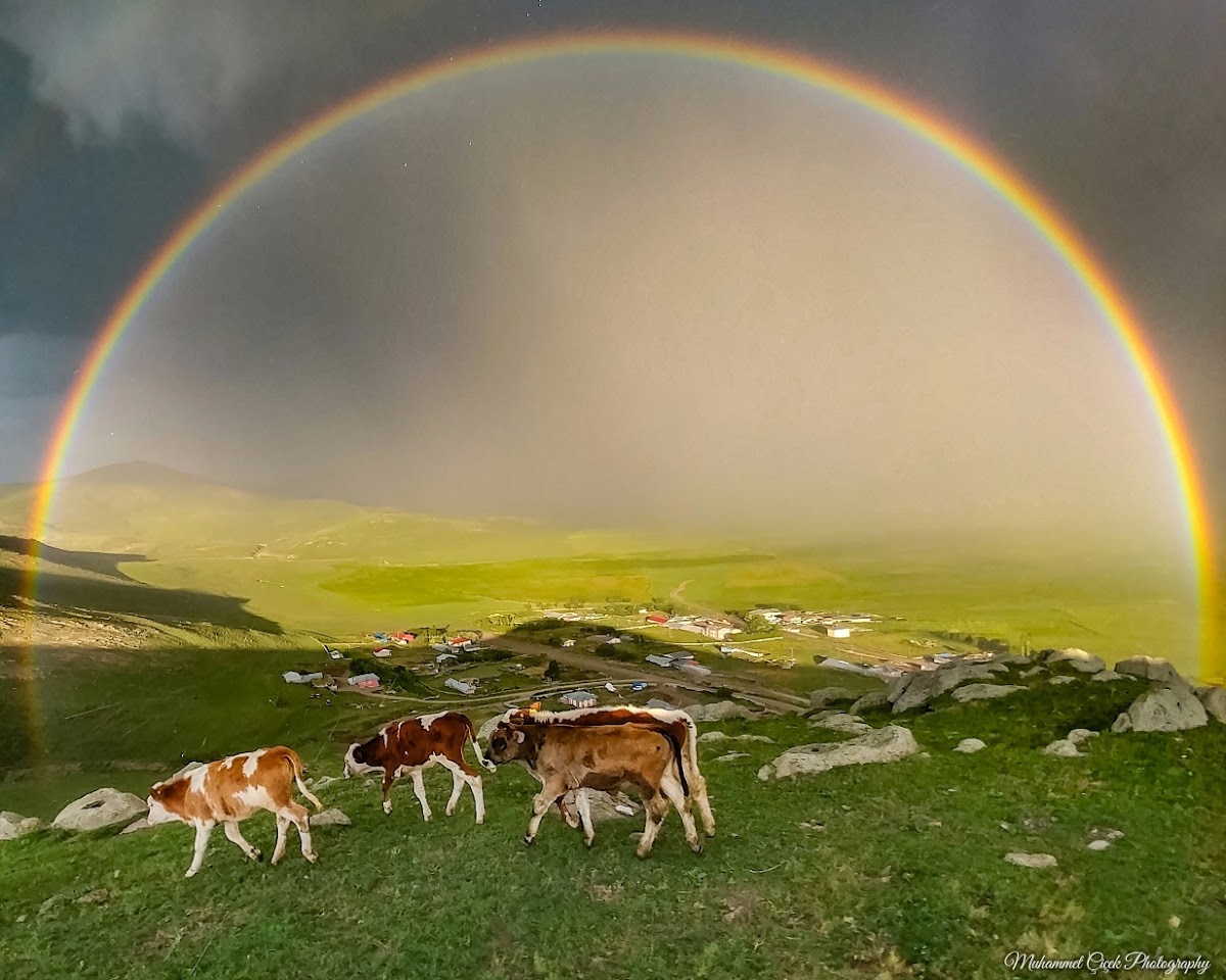 Ardahan Sulakyurt Köyü - Fotoğraf 1