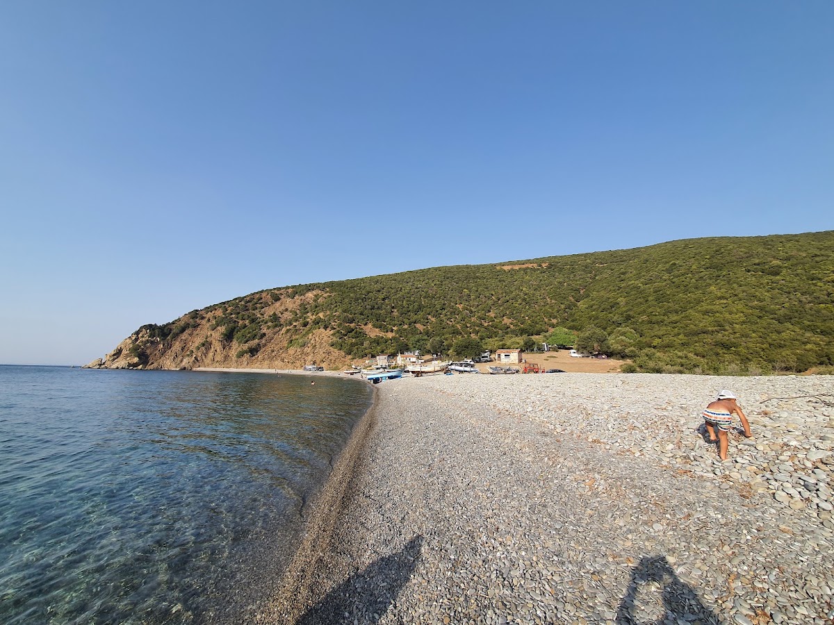 Tayfur Koyu Çamlık Kıyı Alanı Saros Körfezi - Fotoğraf 2