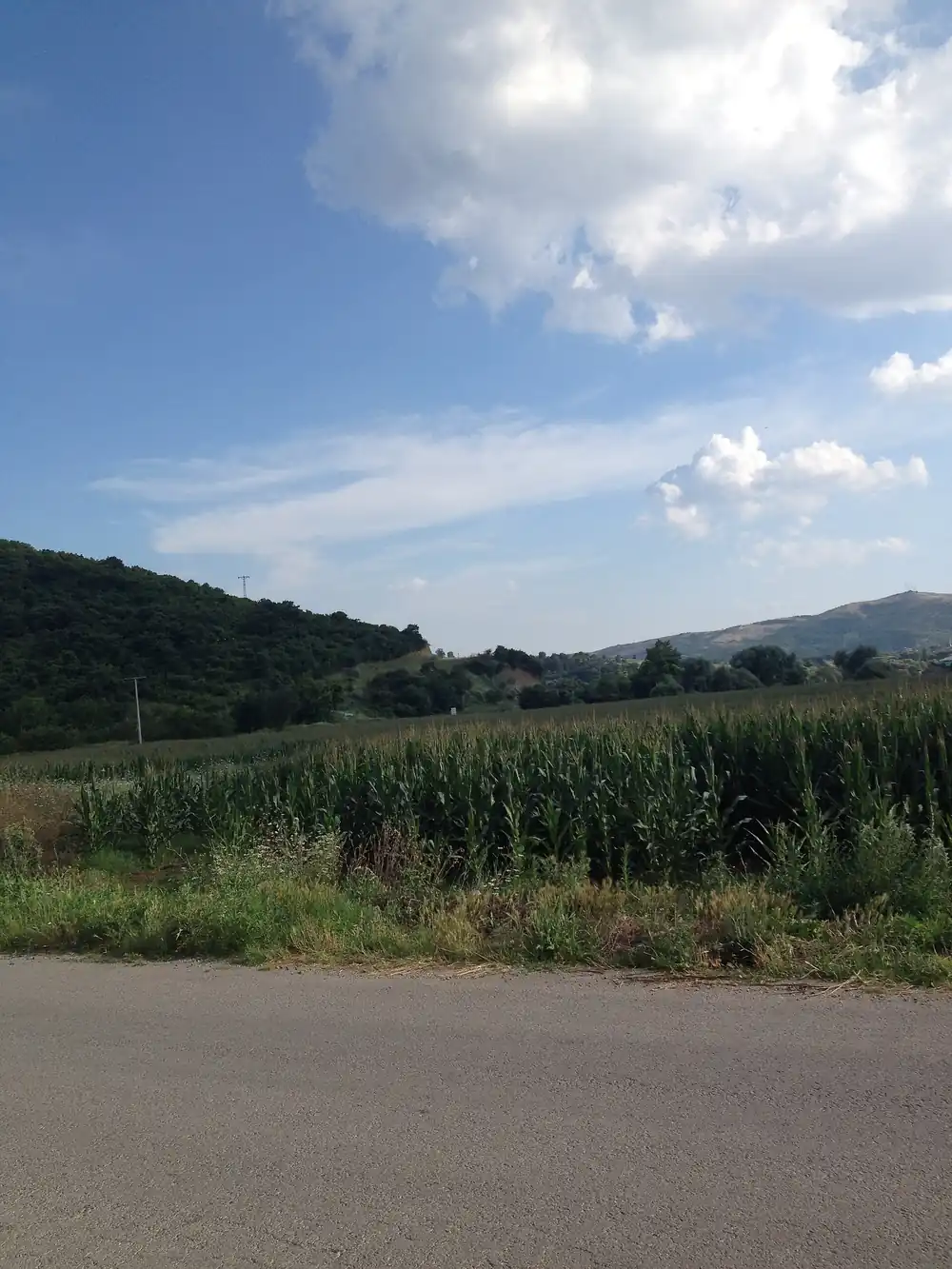 Çataldağ Zirvesi ve Seyir Noktası - Fotoğraf 3