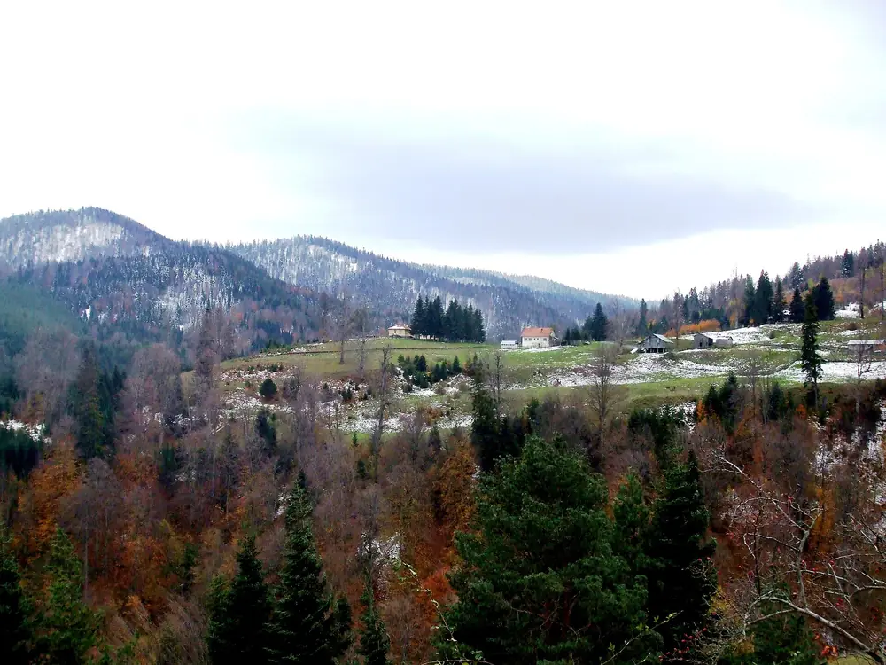 Torkul Yaylası ve Göleti - Fotoğraf 3