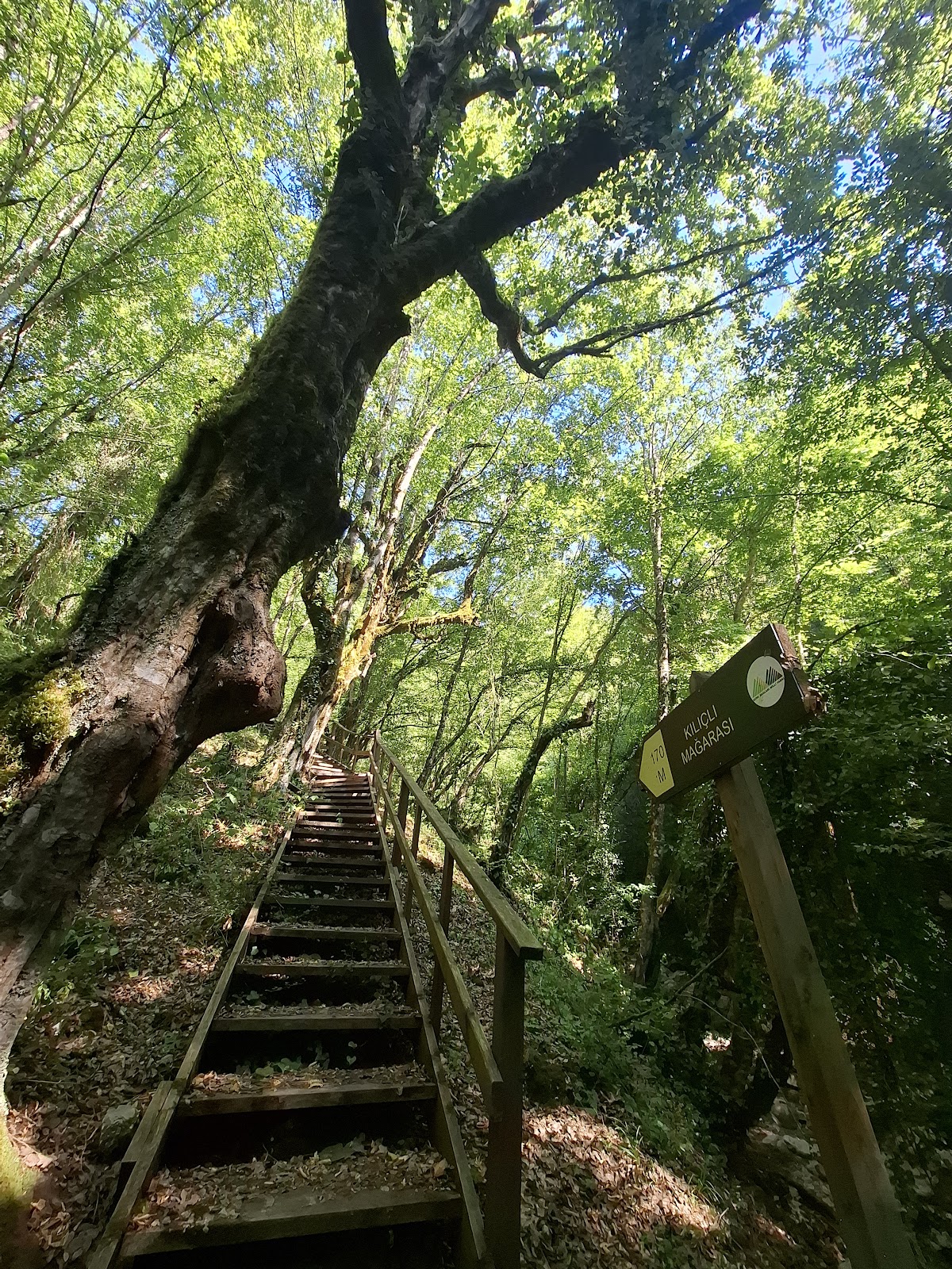 Loç Vadisi ve Çamdibi Kılıçlı Mağarası Yolu - Fotoğraf 1