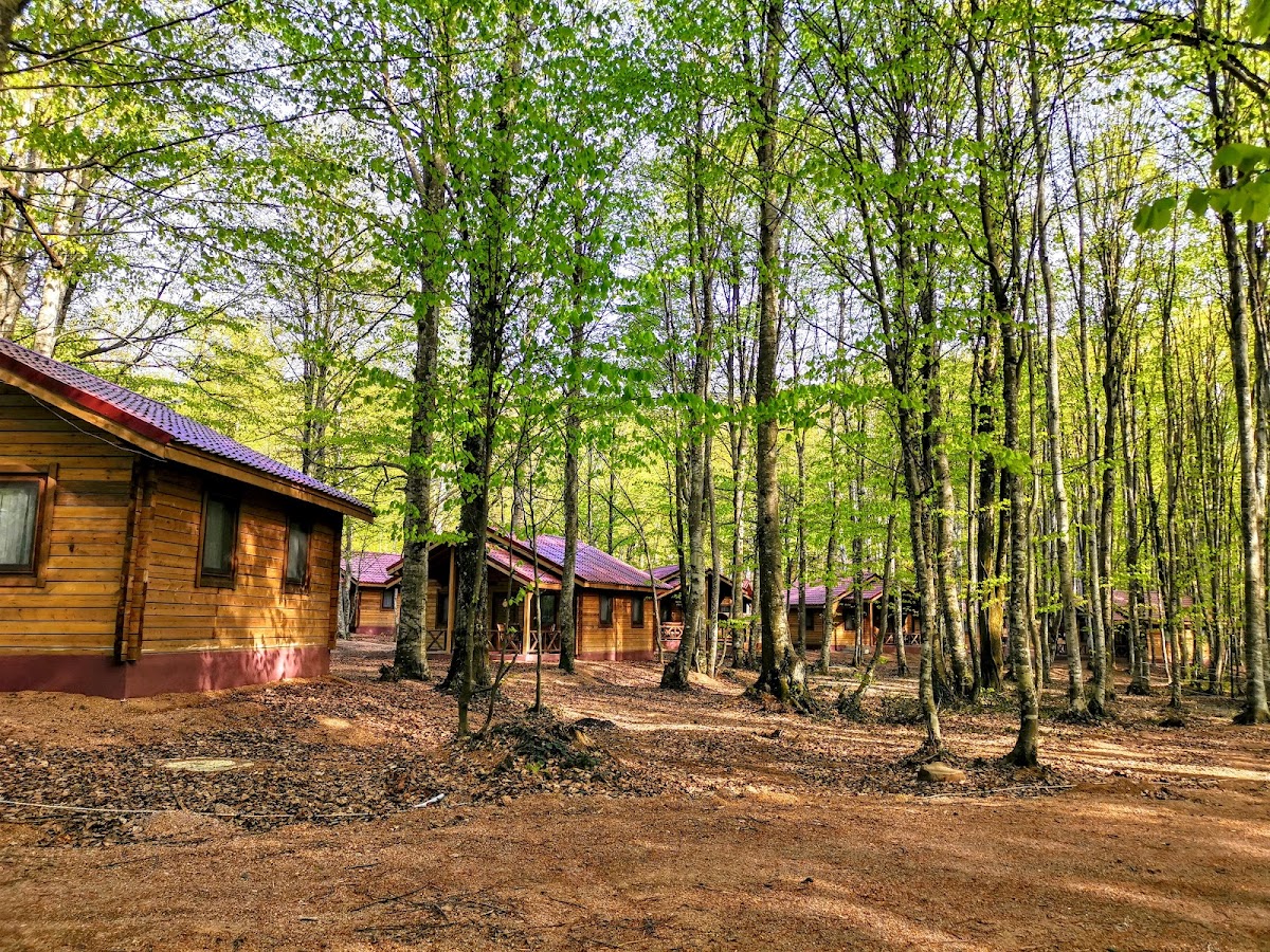 Eriklitepe Tabiat Parkı - Fotoğraf 1