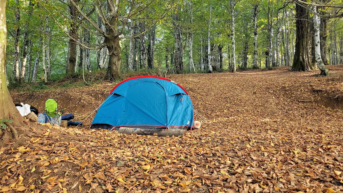 Eriklitepe Tabiat Parkı - Fotoğraf 2
