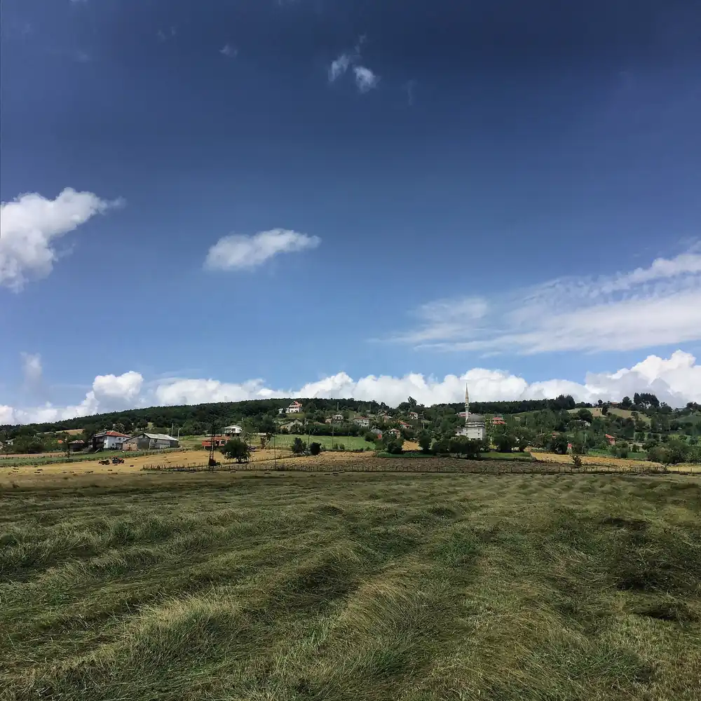 Eriklitepe Tabiat Parkı - Fotoğraf 3