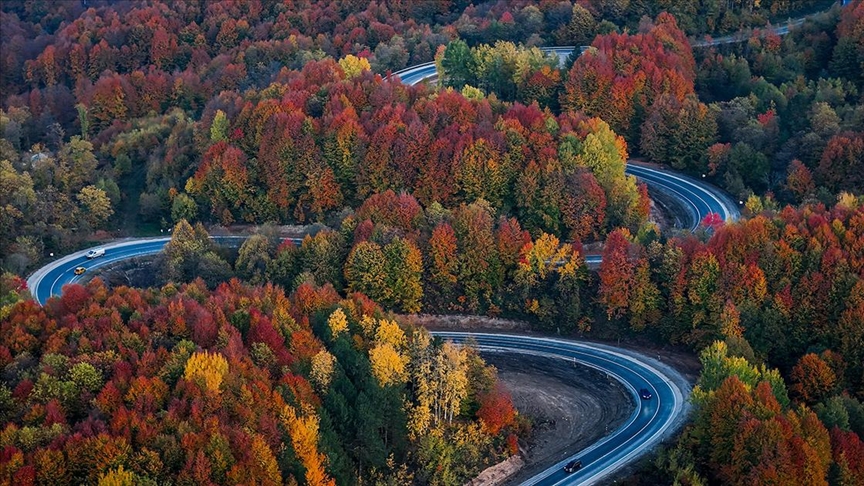 Domaniç Dağ Ormanları Geçişi - Fotoğraf 1