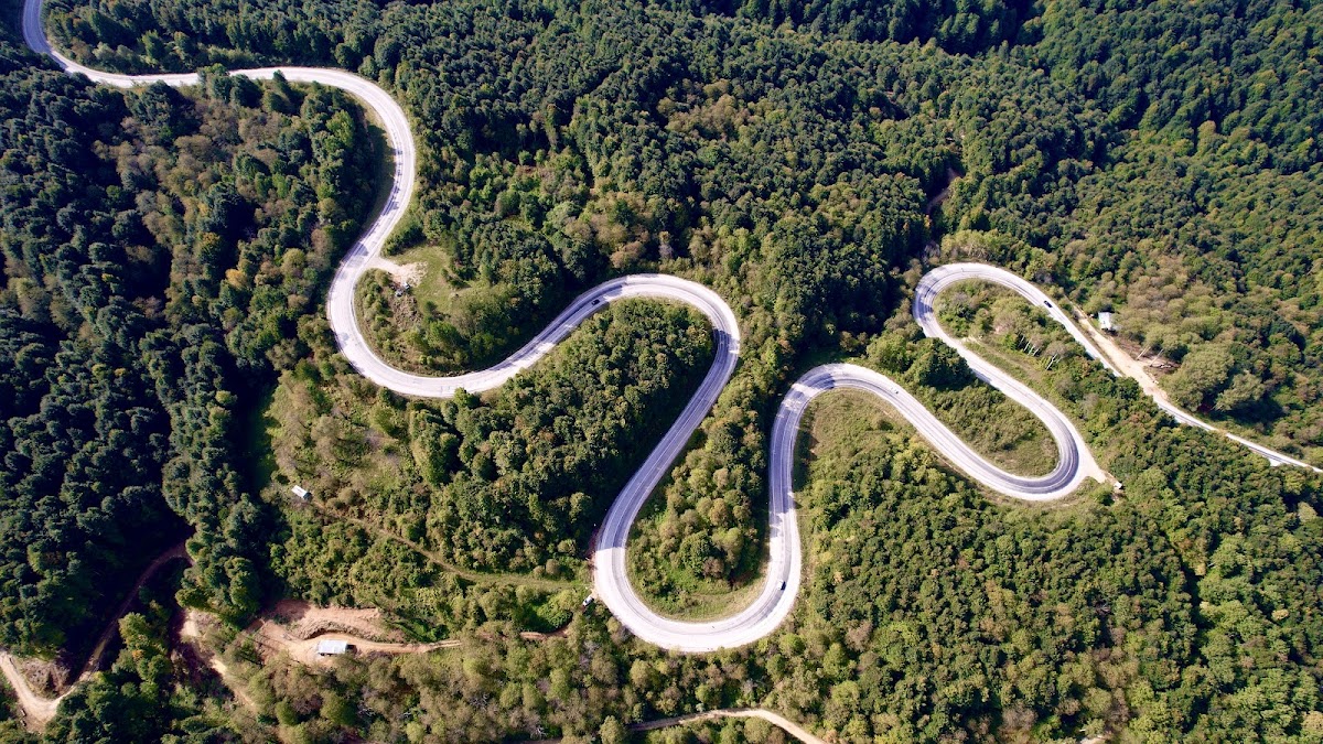Domaniç Dağ Ormanları Geçişi - Fotoğraf 2
