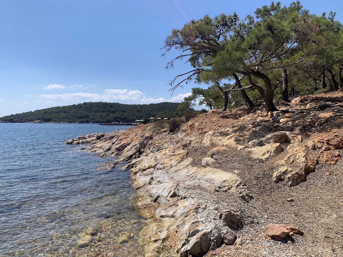 Cunda Adası Ortunç Koyu Ayvalık Balıkesir - Fotoğraf 3