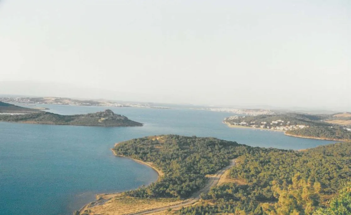 Cunda Adası Ortunç Koyu Ayvalık Balıkesir - Fotoğraf 4