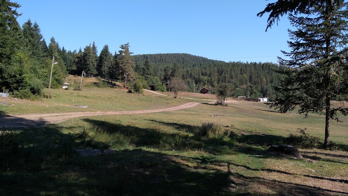 Azdavay Suğla Yaylası Kamp Alanı - Fotoğraf 1