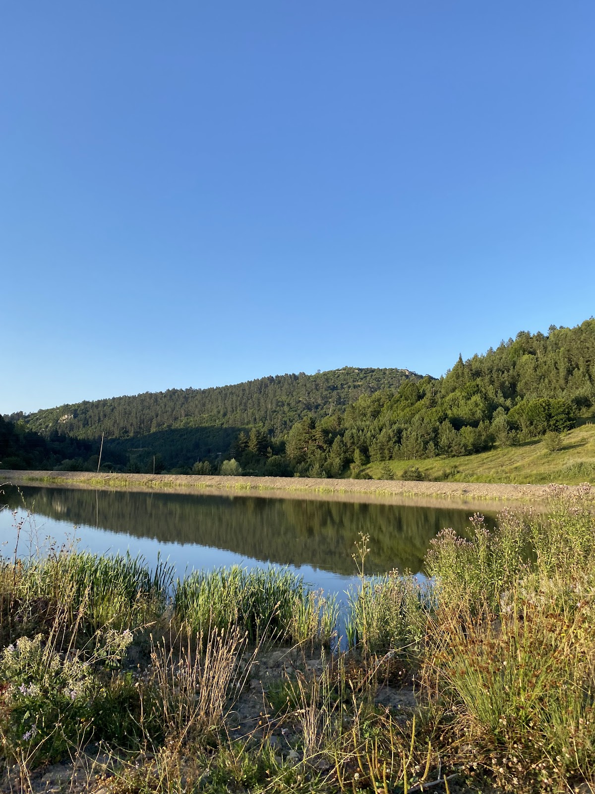 Azdavay Suğla Yaylası Kamp Alanı - Fotoğraf 2