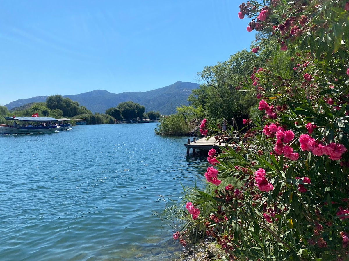 Dalyan Kanalları, Kaunos Kaya Mezarları ve İztuzu Doğa Gezisi