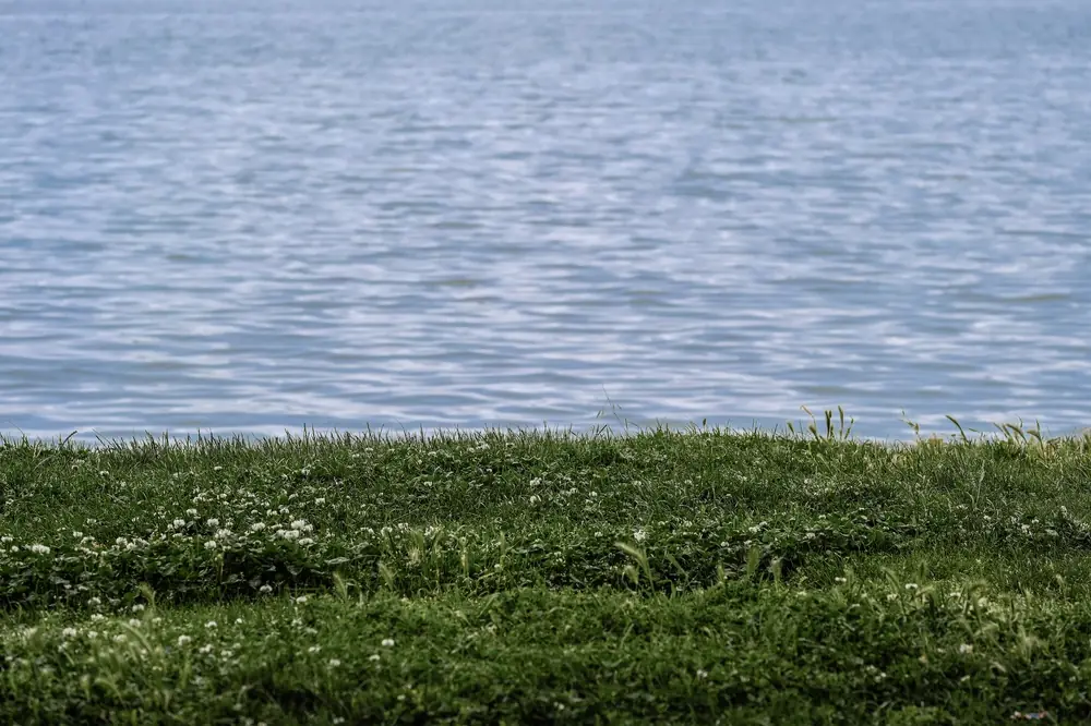 Serene lakeside view featuring lush green grass by a calm water body in Istanbul, Turkey.