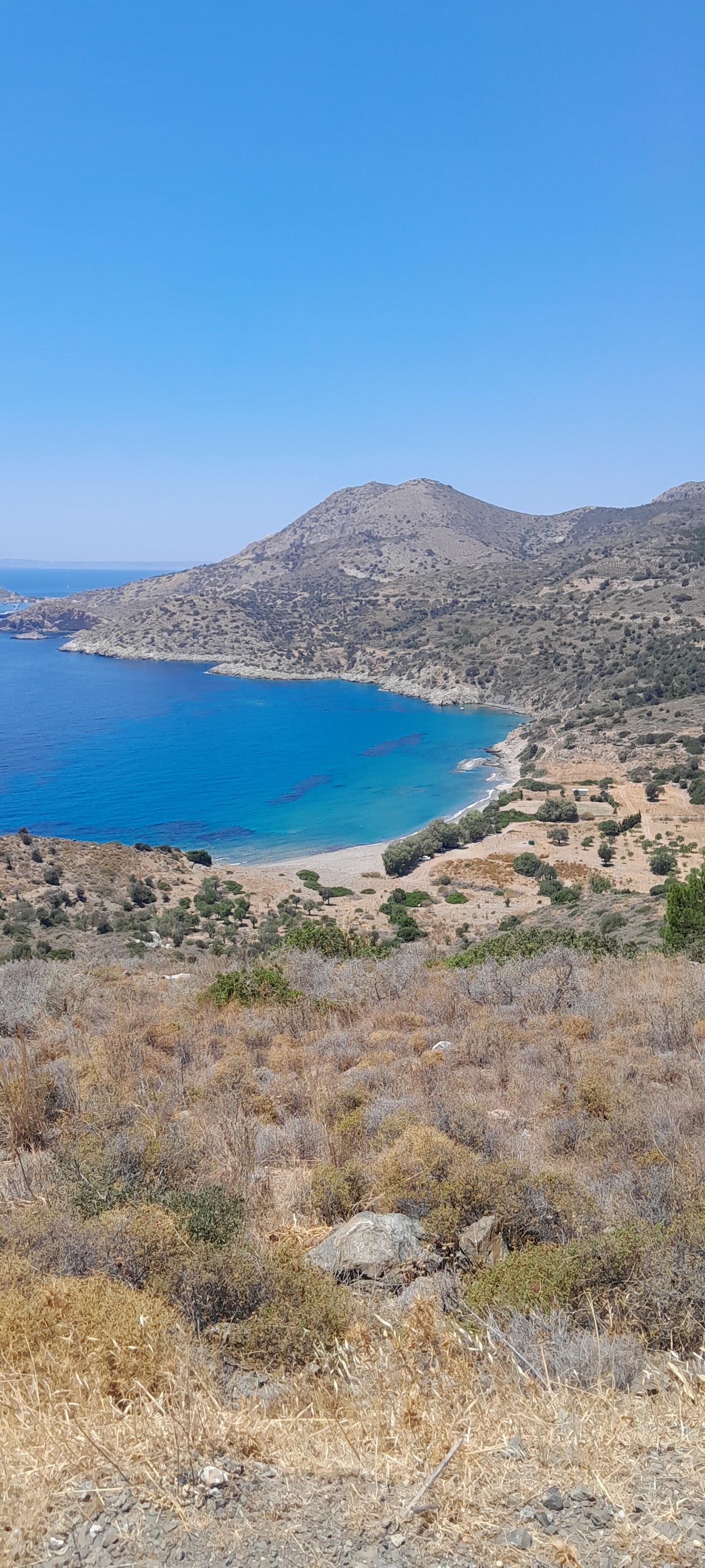 Datça Domuz İni Koyu Kampı ve Knidos Feneri Gezi Rehberi
