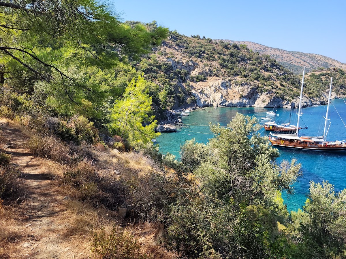 Datça Bakir Koyu (Akvaryum Koyu Yolu) - Fotoğraf 1