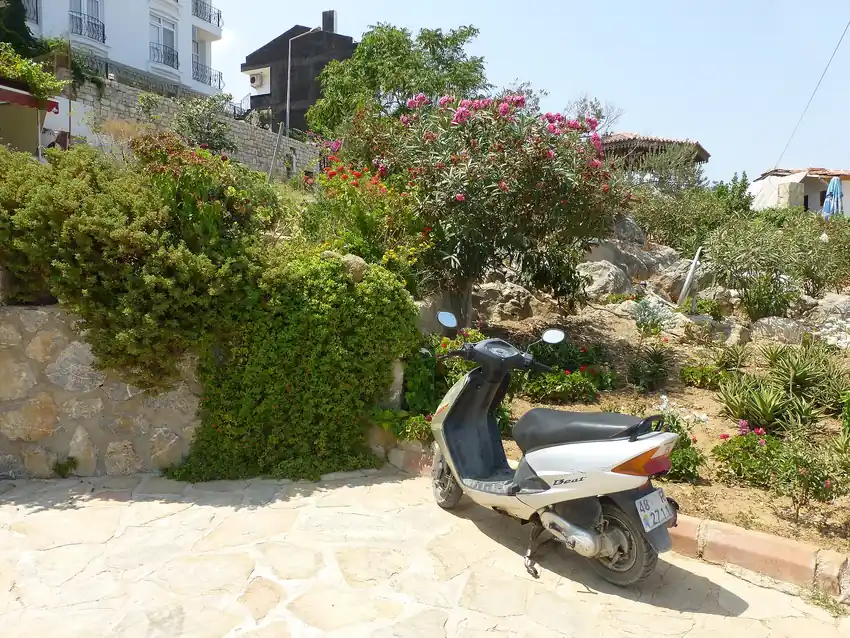 Datça Bakir Koyu (Akvaryum Koyu Yolu) - Fotoğraf 3