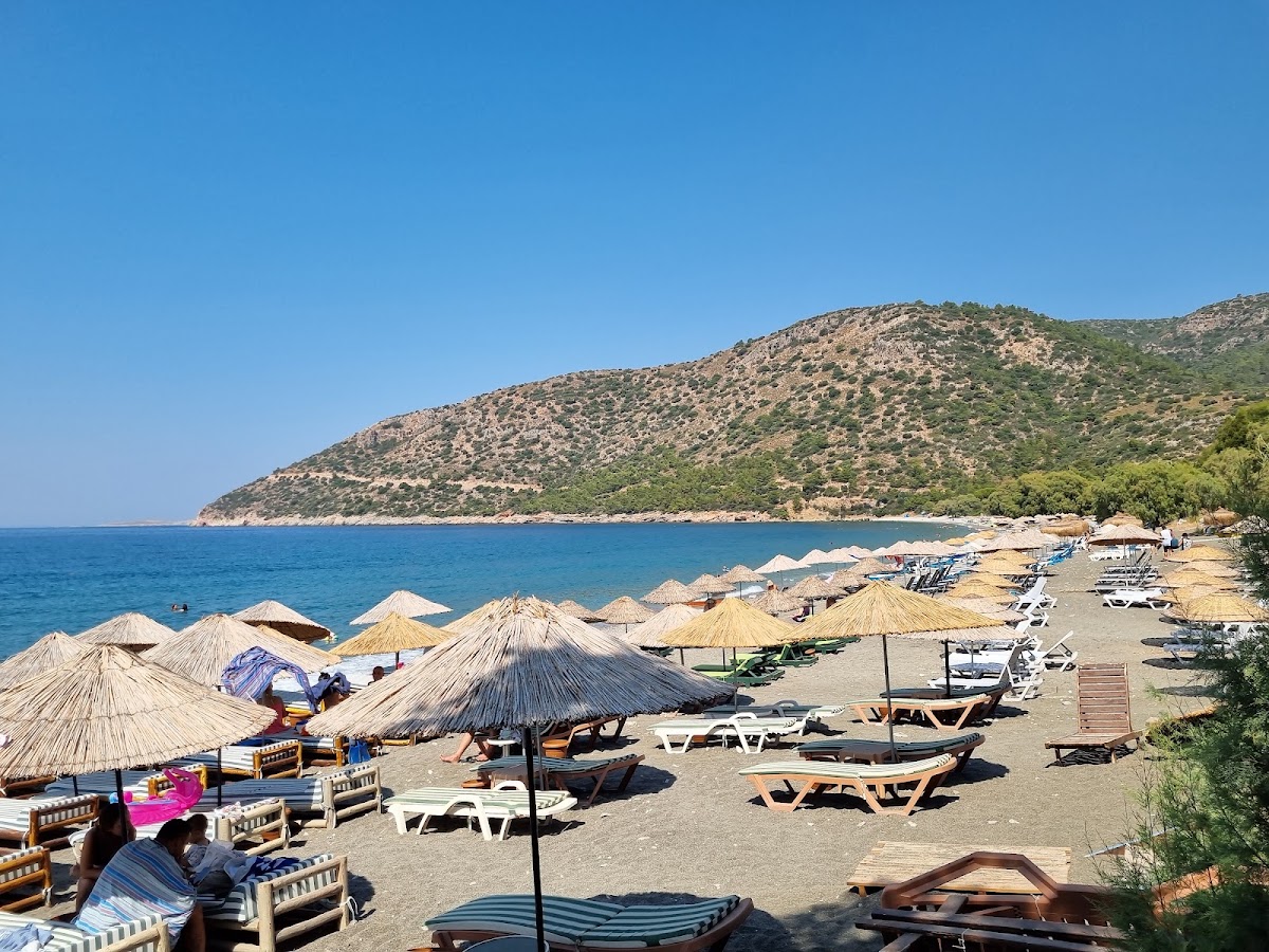 Ovabükü Koyu - Fotoğraf 2