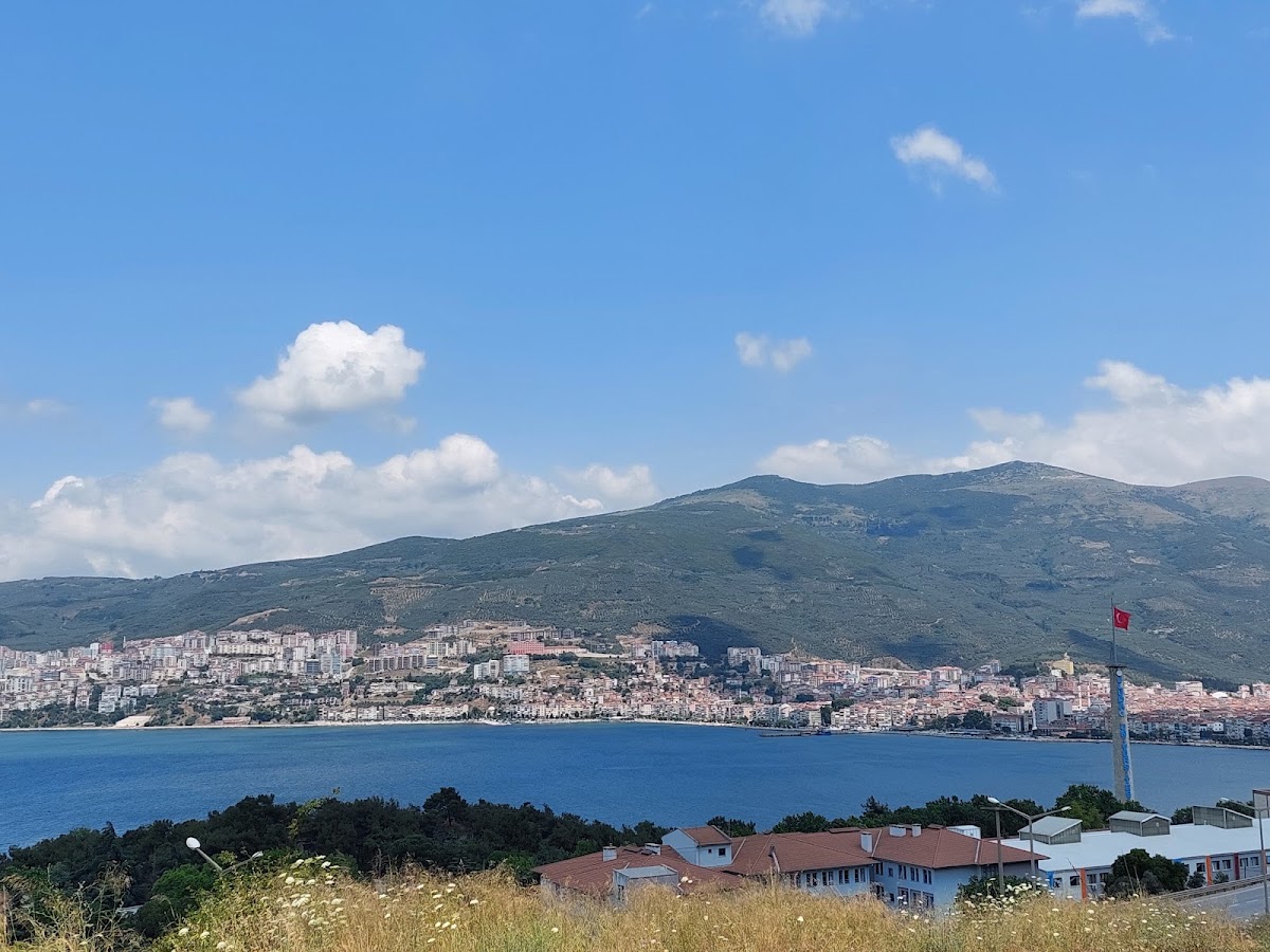 Delmece
