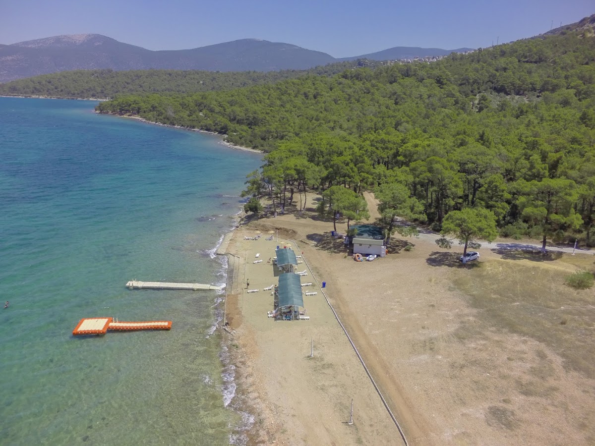 Didim, Akbük ve Altınkum Kıyı Kamp Rotası