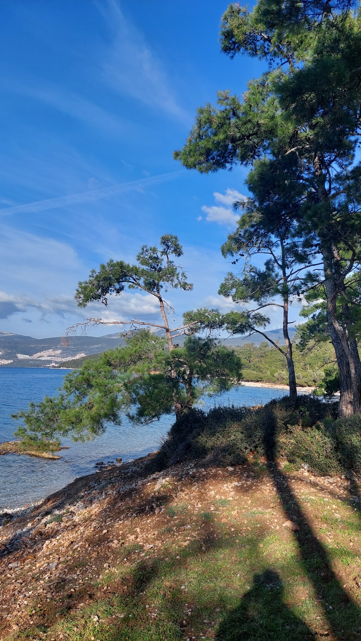 Akbük Çamlık Koyu ve Sahili Didim Aydın - Fotoğraf 2